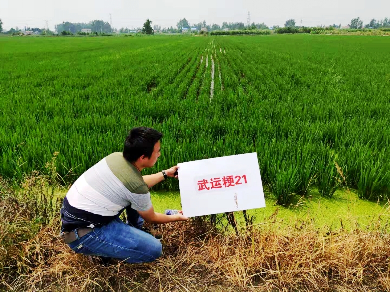 曾道网站正版资料免费大全