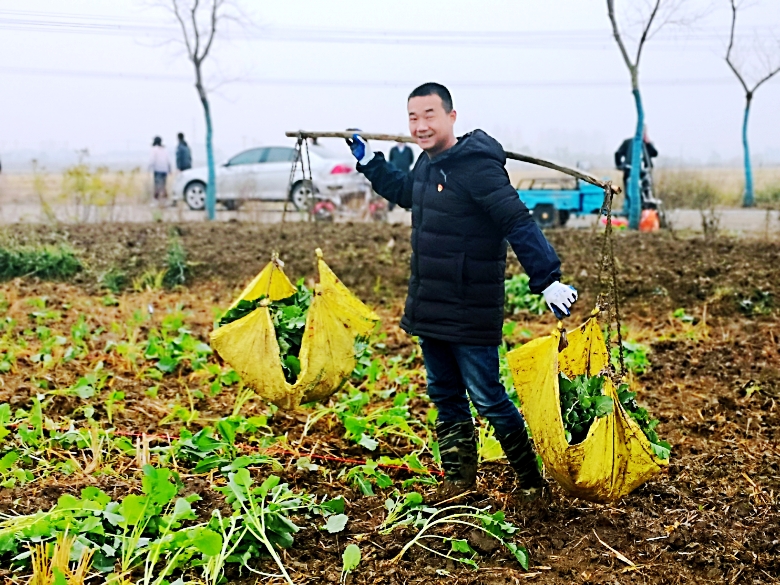 曾道网站正版资料免费大全