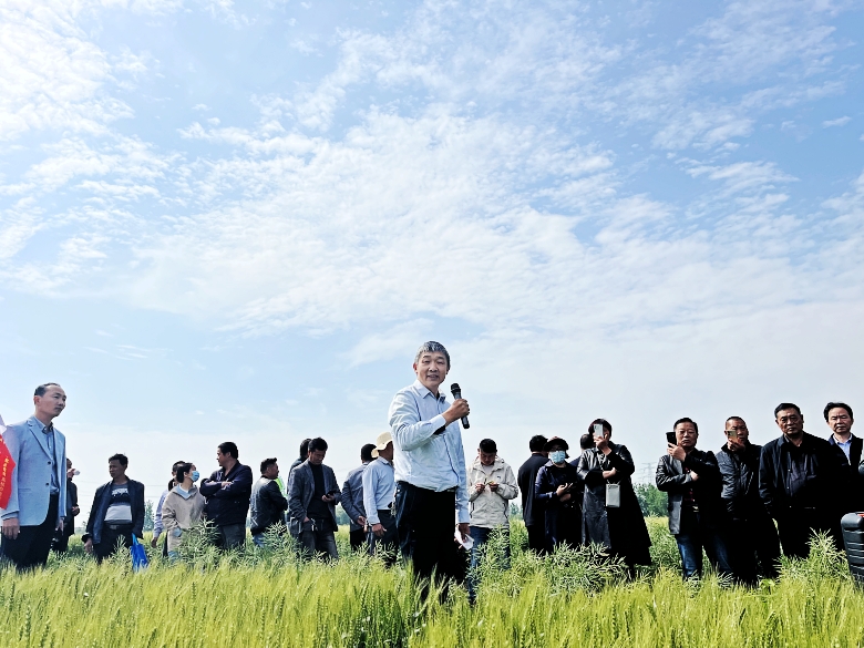 曾道网站正版资料免费大全