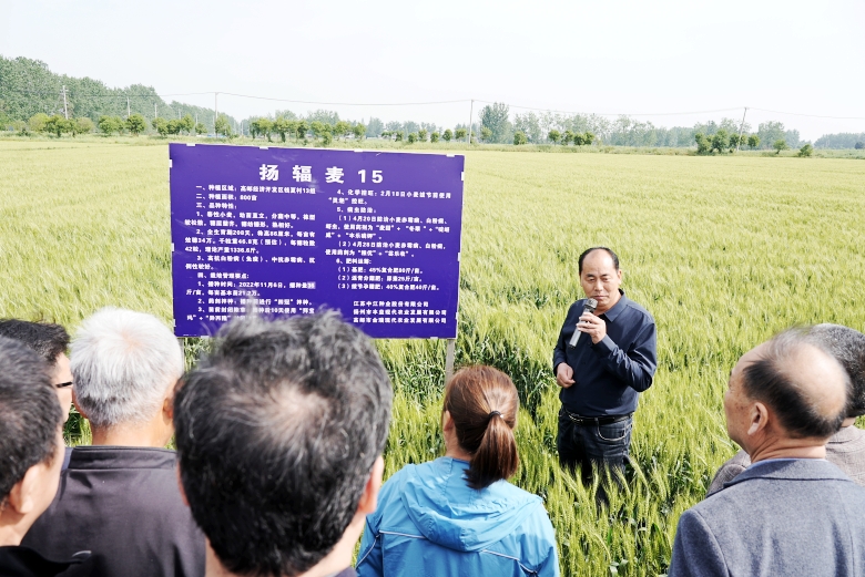 曾道网站正版资料免费大全