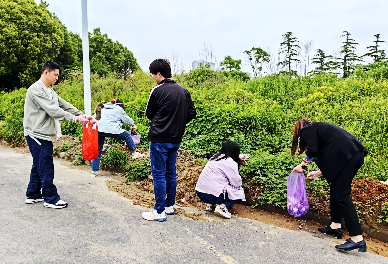 曾道网站正版资料免费大全