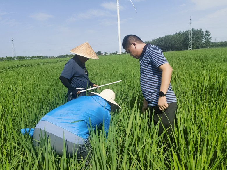 曾道网站正版资料免费大全