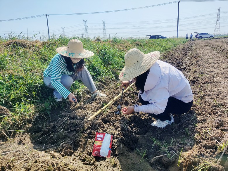 曾道网站正版资料免费大全